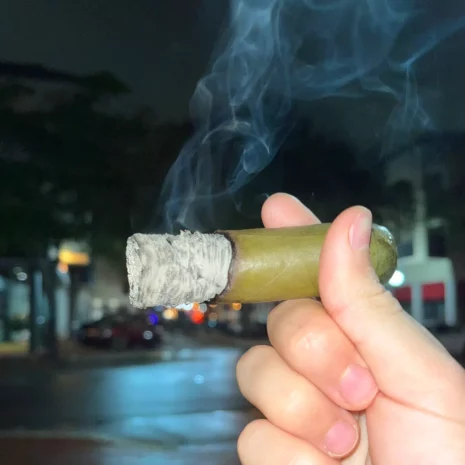 4x64 Gordito Candela 2 Gordito Candela