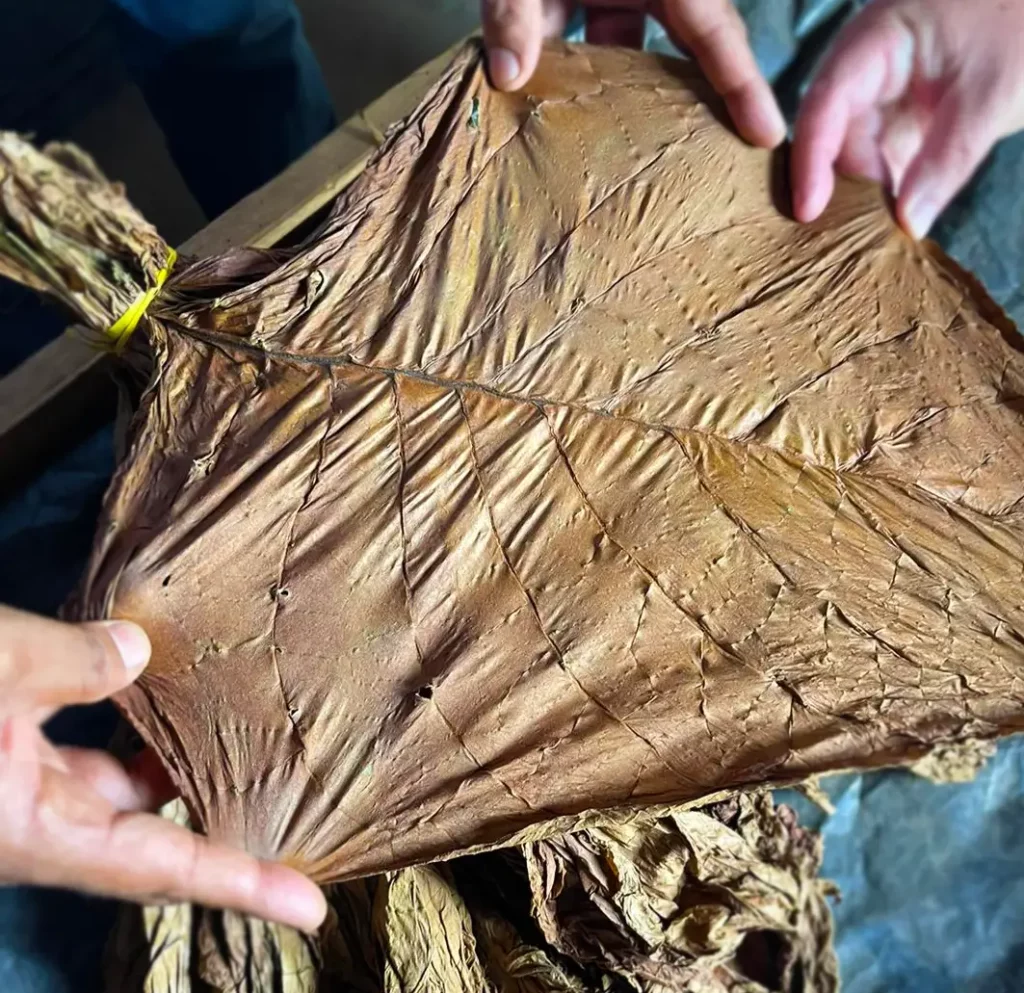 How Premium Cigars Are Made